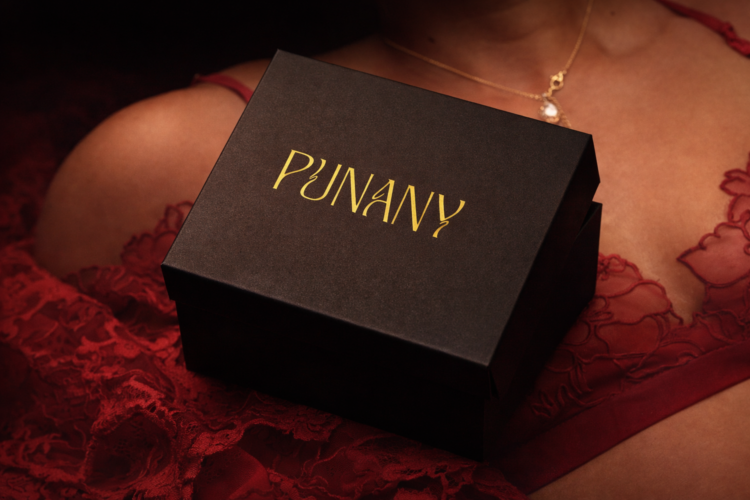 PUNABOX