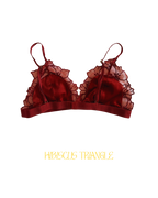 Triangle HIBISCUS
