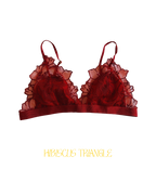 Triangle HIBISCUS