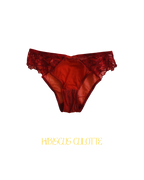 Ensemble HIBISCUS