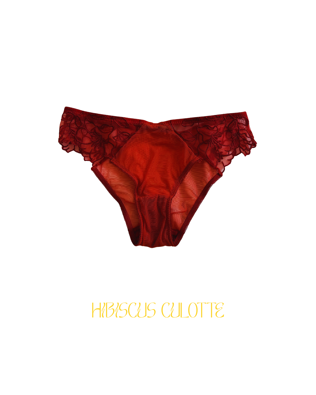 Ensemble HIBISCUS