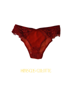 Ensemble HIBISCUS