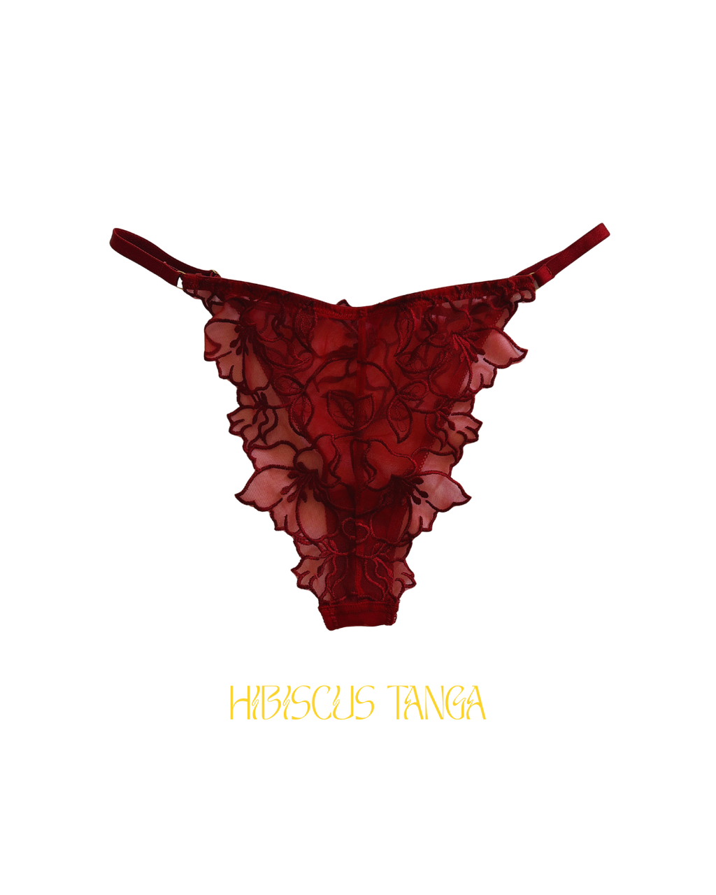 Ensemble HIBISCUS
