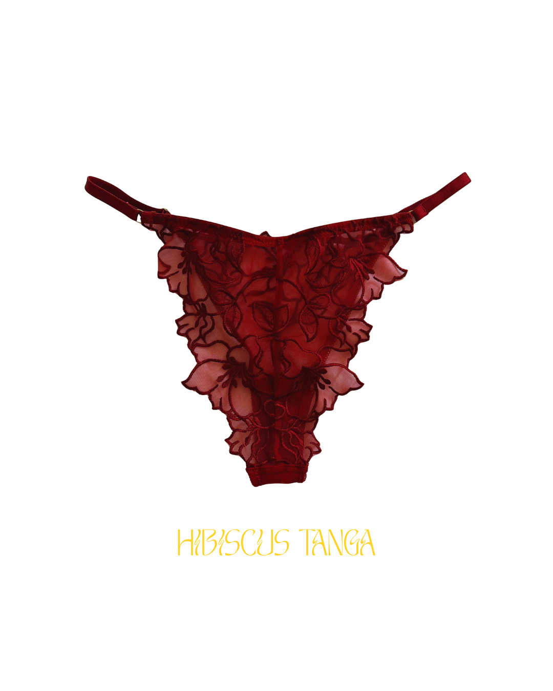 Ensemble HIBISCUS