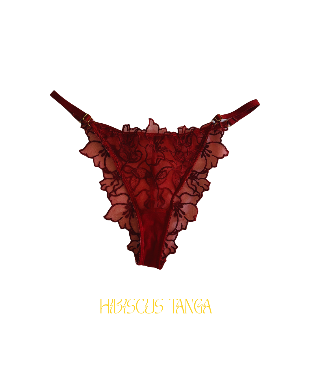 Ensemble HIBISCUS