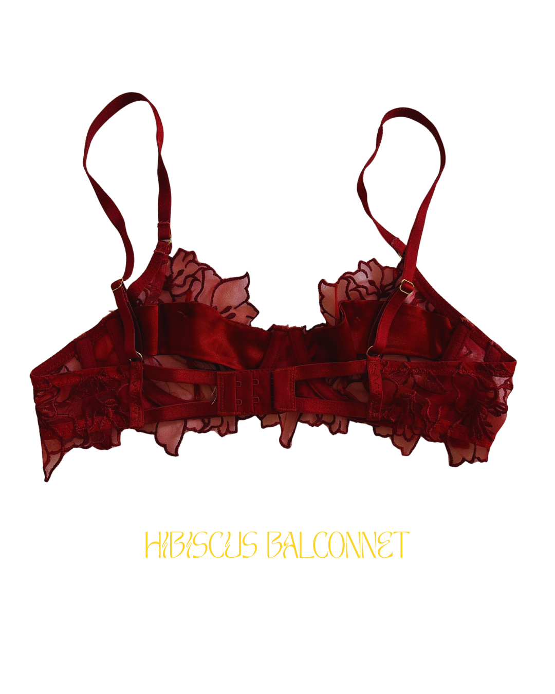 Ensemble HIBISCUS